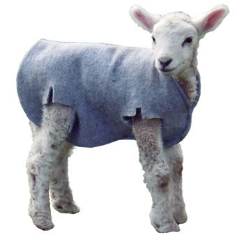 Cosy Coat Lamb Covers - 10 Pack