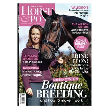 Horse & Pony - 6 Months (6 Issues)