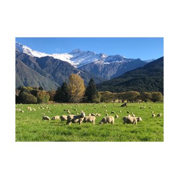 Farm To Farm Tours Gift Card - Various Values
