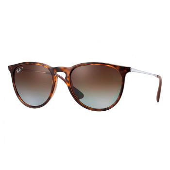 Ray-Ban Erika Sunglasses